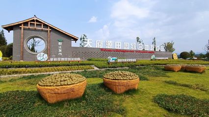 拼 两手抓 | 防疫农事两不误!都江堰猕猴桃生产销售有序复工复产!