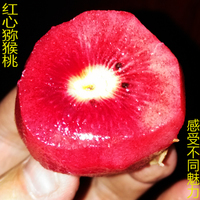 红心猕猴桃团购_淘宝红心猕猴桃团购_红心猕猴桃团购热卖-爱淘宝