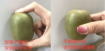 八月多吃它,胜过冬草夏草