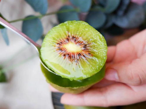 甜到心尖儿上 一捏就出汁的红心猕猴桃,维c满满,惊艳你的味蕾