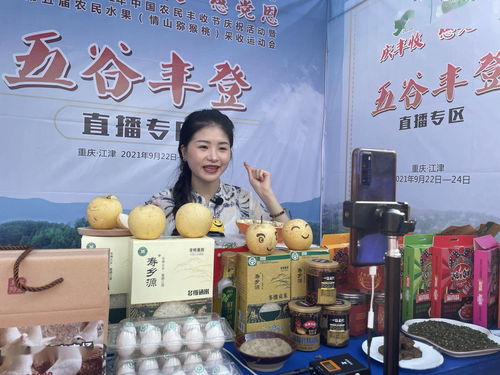 今日逢秋分 2021江津 中国农民丰收节火热开启