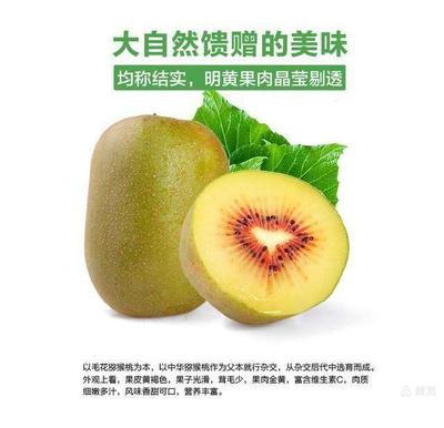 舌尖上的美味~水城红心猕猴桃