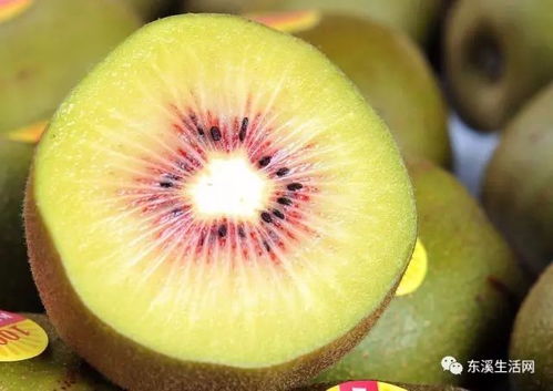 中国苍溪 红心猕猴桃 2018年再次向世界发出抢购号令