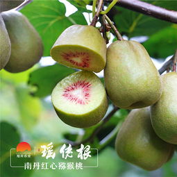 南丹红心猕猴桃 30个 单果80g 全国包邮