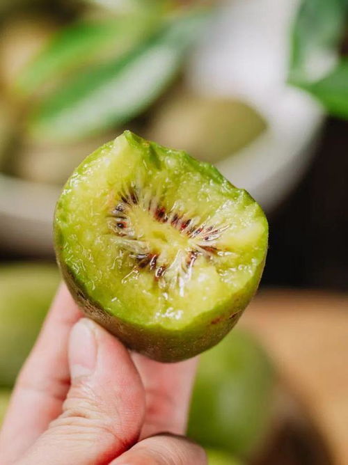 初秋限定的那抹高甜,非蒲江红心猕猴桃莫属