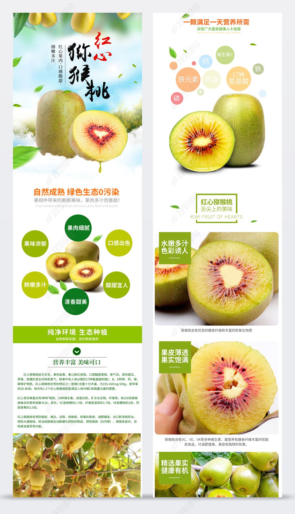 原创2019白绿色蒲江红心绿心黄心猕猴桃奇异果详情psd-版权可商用