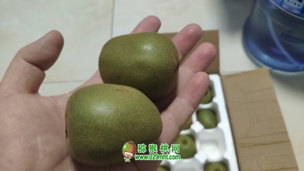 一盒五斤红心猕猴桃大概有多少个？