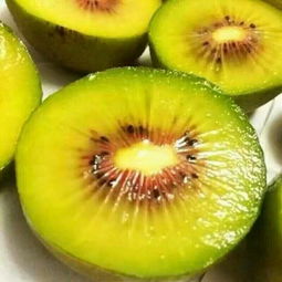 浦江红心猕猴桃 红宝石般的甜蜜珍馐