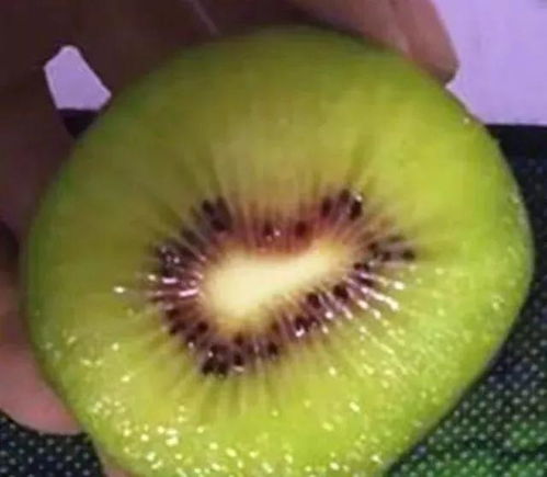 最全12种红心猕猴桃品种大盘点 品味红心之美