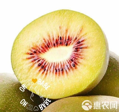 四川特产水果 红心猕猴桃 奇异果 好吃不腻