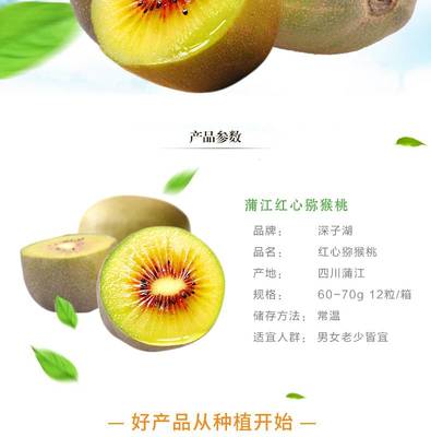 【邮乐溆浦馆】蒲江红心猕猴桃奇异果当季新鲜水果现摘现发坏果包赔12粒装单果60-70克