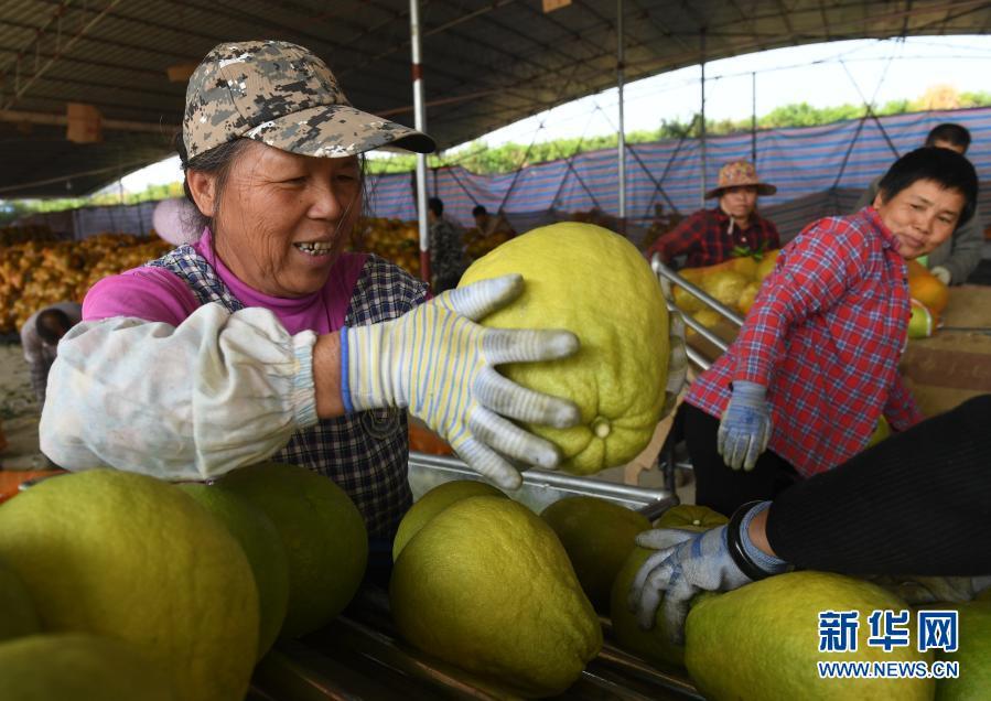 阳光洒满九万山——仫佬山乡脱贫记