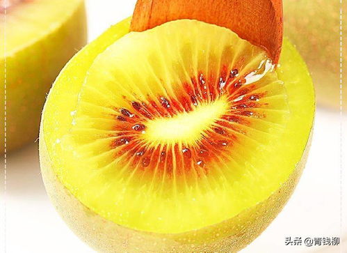 红心猕猴桃种植项目分析与市场前景